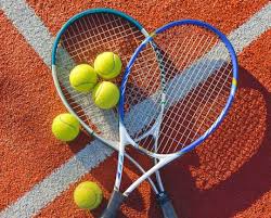 Ondobo Luc Tennis Maisons Alfort 94700 Avis Adresse Telephone Tous Voisins