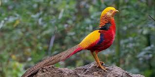 Autoarea blogului observatoare.eu, oxana greadcenco, prezintă indicațiile ei cu referire la părțile moldovei ce merită văzute, scrie travelblog.md. 10 Lucruri Interesante Despre Pasari