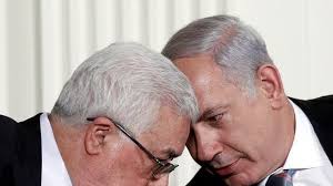 الاولى الاخباري