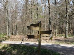 Ein spielplatz, an dem der weg vorbeiführt, sei für die kinder immer ein highlight, sagt er. Wandern Von Bad Munstereifel Zur Steinbachtalsperre Tour 55227