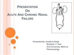 Acute And Chronic Renal Failure Easy Slides