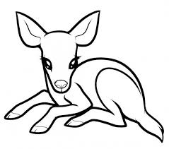 Baby 20deer 20coloring 20pages Deer Coloring Pages Animal Drawings Easy Animal Drawings