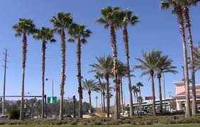 Start your rv adventure at gander rv & outdoors. Fun In The Sun At The Sherwood Forest Rv Resort Camper Report