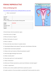 Search by hair color, eye color, height, weight, & blood type. Female Reproductive System