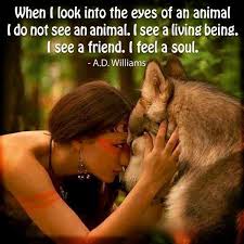 When I Look Into The Eyes Of An Animal I Do Not See An Animal When I Look Into The Eyes Of An Animal I Do Not See An Animal I See A Living Being I See A Friend I Feel A Soul Animal Quotes Native