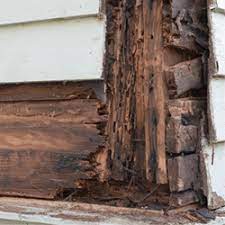 For the first time, australian homeowners can now purchase insurance against termite damage. Does My Homeowners Insurance Cover Termite Damage Finder Com