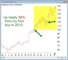 Chart Pattern Dan Zanger How To Pronounce Indices