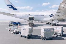 How to use cargo in a sentence. Home Finnair Cargo
