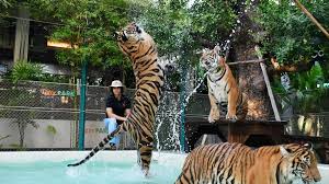 Tiger Park