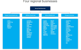 Various committees within the governance structure enable the board and. Standard Chartered Rejigs Organisation Structure To Cut Down Regions To 4