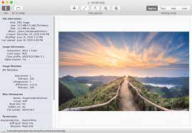 File Viewer View Any File On Your Mac