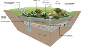 Bioretention Areas Rain Gardens