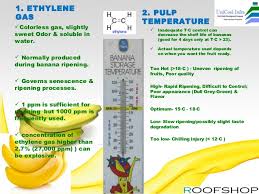 Banana Ripening Plant Manufacturer By Uni Cool Infa Systems