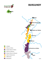 Burgundy Wine The Worlds Wine Regions Fermented Grape