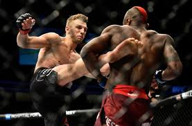Image result for dan hooker ufc