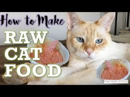raw cat food recipe homemade