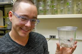 University investigation found prominent spider biologist fabricated,  falsified data