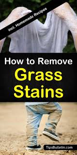 Visit today & quickly get more results on fastquicksearch.com! 4 Amazing Ways To Remove Grass Stains