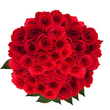 When you need an expertly crafted bouquet or arrangement, fresh cut flowers always delivers on the best quality and value. Globalrose 100 Red Roses Fresh Cut Flowers Guaranteed Express Delivery Buy Online In Andorra At Andorra Desertcart Com Productid 12492565