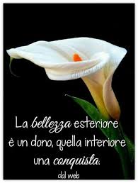 Pin Di Nadia Feliciani Su Pensieri Qui E La Nel 2020 Citazioni Divertenti Sull Amicizia Citazioni D Ispirazione Citazioni