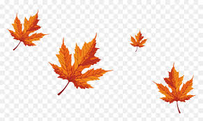 Maple Leaf Red Maple Falling Maple Tree Leaves Hd Png Download Vhv All png & cliparts images on nicepng are best quality. falling maple tree leaves hd png