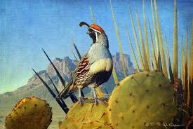 Birds Of The Southwestern Desert Stunning Cute Artwork For Sale On Fine Art Prints Southwest Art Southwest Painting Southwestern Art