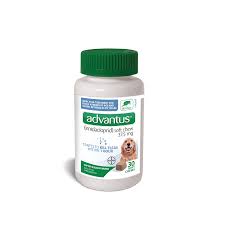 Petco is an industry leading health and wellness company focused on improving the lives of pets, pet parents and our partners. Pin On Dalmatian S