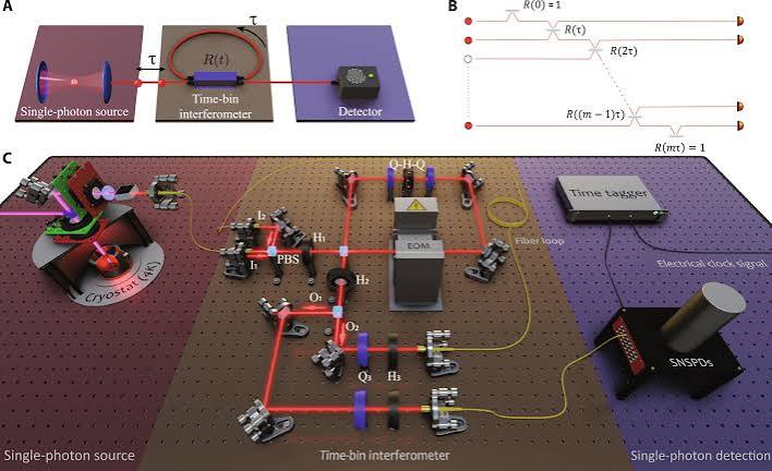 Programmable multiphoton quantum interference in a single spatial mode | Science Advances