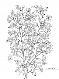 See also latest coloring pages, worksheets, mazes, connect the dots, and word search collection below. Cherry Blossom Coloring Page Kidspressmagazine Com
