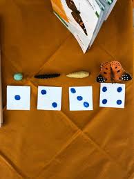 Die geschichte der gefräßigen raupe nimmersatt begeistert kinder rund um den globus. Ev Luth Kindertagesstatte St Marien Ueffeln Padagogische Ideen Wahrend Der Corona Zeit