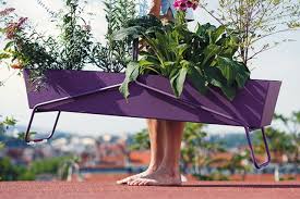 Rob Bland richmondmagazine.com