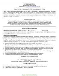 resume examples vendor management