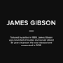 Profile Picture of James Gibson - Chicago Police Torture Archiveon Google