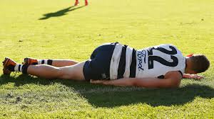 Official twitter account of the geelong football club #geelongstrong. L34bfydy3uqtm