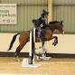 Halloween Unaffiliated Show Jumping - Wellington Riding, Basingstoke Rd, Heckfield Event Image