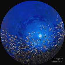 We did not find results for: Glass Fish Two Painting By Odile Kidd