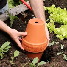 Gartenbewasserung Mit Ollas Gartenbewasserung Bewasserung Garten Hochbeet