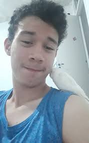 Can't change the facts! 🐥 #cockatiel #birb