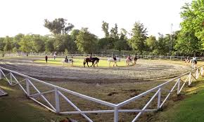 The team's primary colours are red, orange and a light shade of brown. Islamabad Club Welcome To Islamabad Club