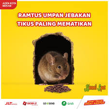 Namun, jenis yang paling bagus untuk. Jual Ramtus Pengusir Tikus Rumah Paling Ampuh Umpan Wirog Paling Berkesan Kota Bekasi Kreasi Spot Tokopedia