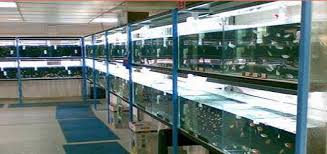 Here are our top alice springs pet shops with reviews & ratings. Vets Alice Springs Irlpme Nt 870 Vet Australia