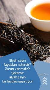 b s adli kullanicinin ilginc bilgiler panosundaki pin dogal saglik saglikli yasam tarzi saglikli yasam