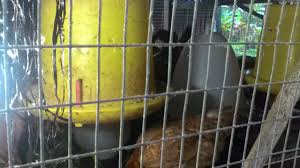 Maybe you would like to learn more about one of these? Kembara Dari Rumah Page 2 Dari Aku Untuk Kamu