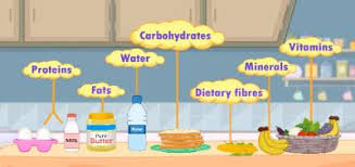 balanced diet chart for school project health and fitness