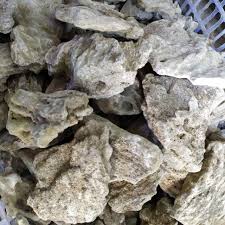 We did not find results for: Batu Pasir Sandstone Aquascape 1kg Grade A Shopee Indonesia