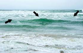 Surf Perch Fishing On Oregon Coast Perch Fishing Saltwater Fishing Surfing