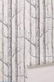Woods Wallpaper Birches Wallpaper Birch Tree Wallpaper Wood Wallpaper