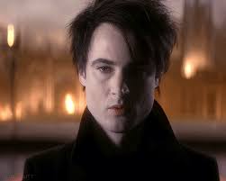 ✶࿐ — ──𝐭𝐨𝐝𝐚𝐲 𝐢 𝐛𝐮𝐫𝐲 𝐲𝐨𝐮 𝐢𝐧 𝐦𝐞 [𝐕𝐈𝐈.]