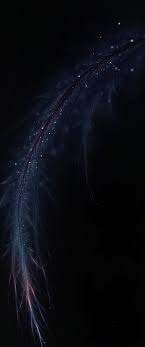 Jul 11, 2020 · desktop wallpaper download. Wallpaper Fractal Shine Feather Branch Dark Dark Wallpaper Hd Download 2880x6880 Download Hd Wallpaper Wallpapertip
