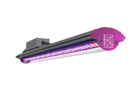 Led Grow Lights X Series X40 X80 Led Grow Light Bars Kind Led
